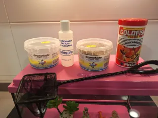 Acurio pecera de cristal rosa 20 litros