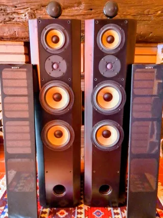 Altavoces Sony SS-X9ED
