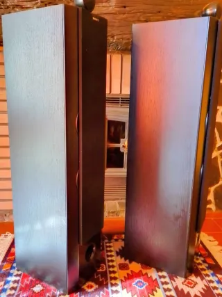 Altavoces Sony SS-X9ED