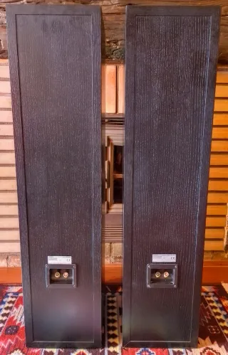 Altavoces Sony SS-X9ED