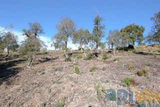 Terreno en venta en Mas Pere-Río de Oro en Calonge