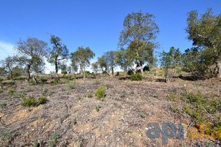 Terreno en venta en Mas Pere-Río de Oro en Calonge