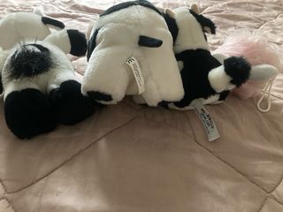 Set 4 peluche mucca