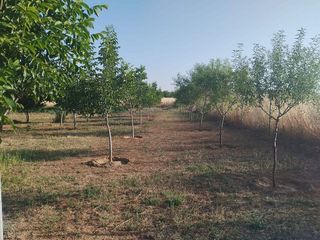 Terreno en venta en Santa María en Ciudad Real