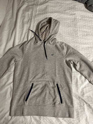 Sudadera Hollister Beige/Gris