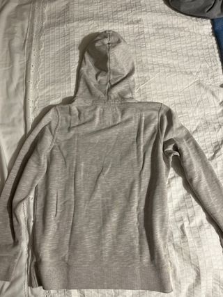 Sudadera Hollister Beige/Gris