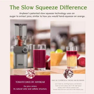 Extractor de zumo Anybear