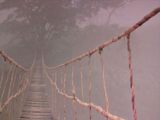 Lienzo Puente Selva 2m