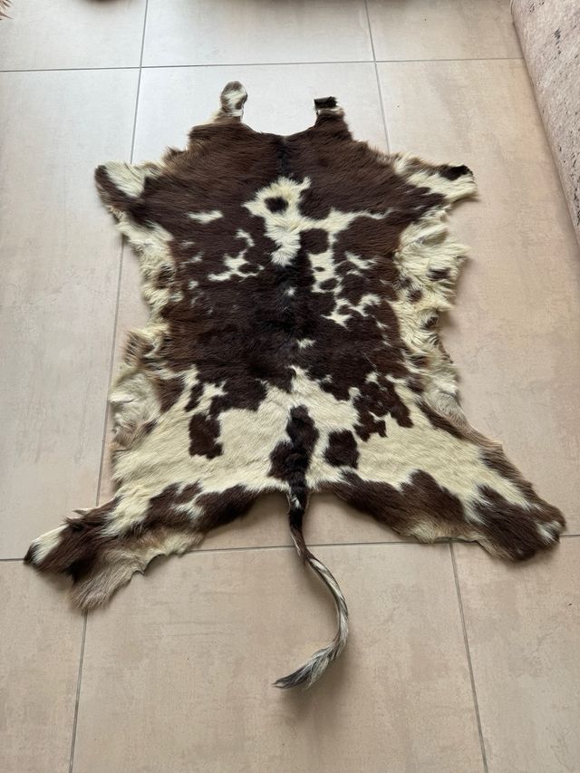 Piel vintage decorativa