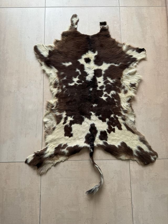 Piel vintage decorativa