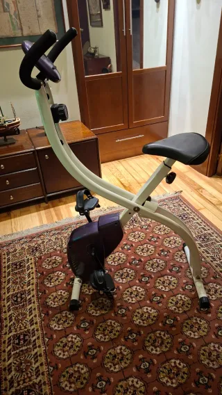 Bicicleta Estática Morada