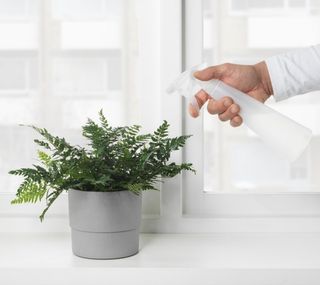 Regadera | Pulverizador | Soporte plantas