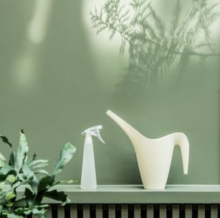 Regadera | Pulverizador | Soporte plantas