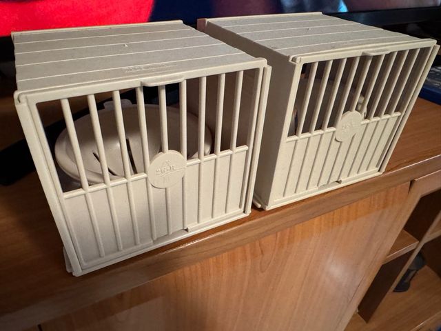 material cría pájaros