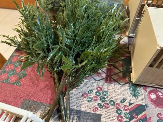 material cría pájaros