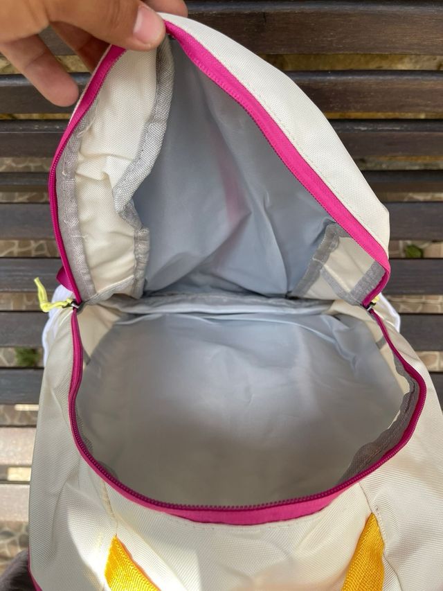 Mochila Patagonia Azul y Rosa