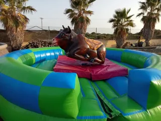 Reparacion toro mecánico, barredoras