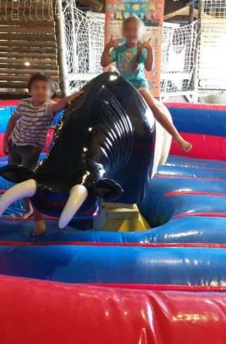 Reparacion toro mecánico, barredoras