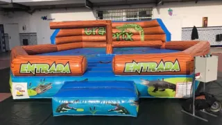 Reparacion toro mecánico, barredoras