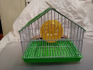 Gabbia per criceti, nuova