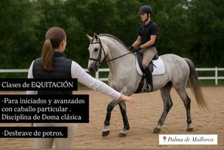 Profesora de equitación