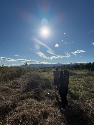 Terreno en venta o alquiler