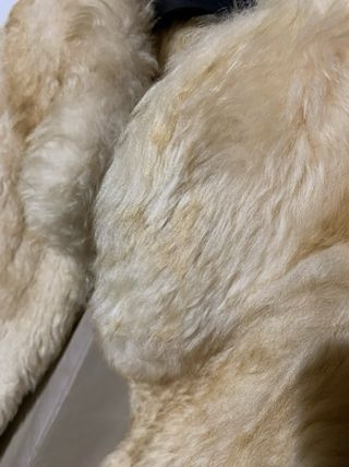 Pelliccia beige e bianca