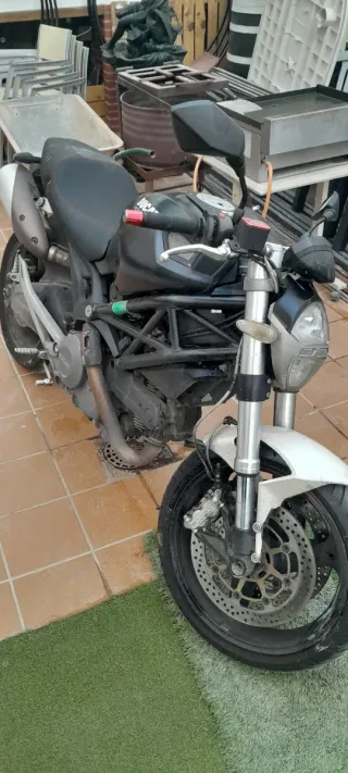 Ducati Monster