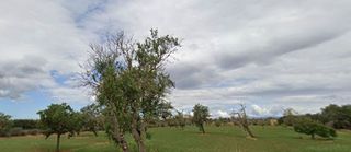 Solar en venta en Llucmajor Interior en Llucmajor