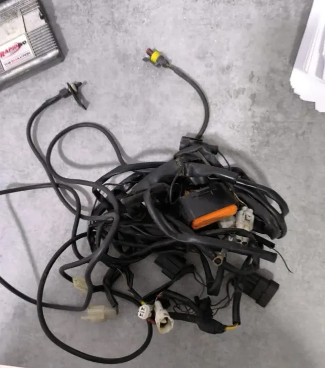 Centralina Rapid Bike EVO Moto