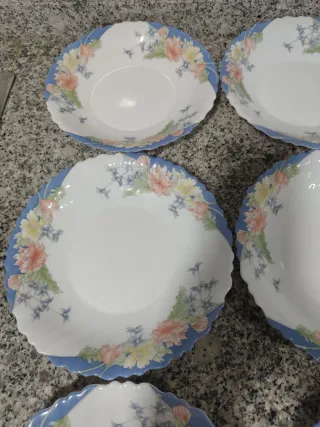 6 Platos Hondos Arcopal Florine