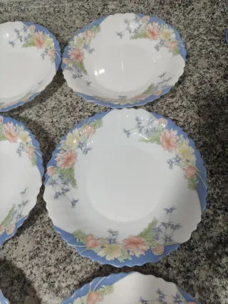 6 Platos Hondos Arcopal Florine