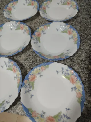 6 Platos Hondos Arcopal Florine