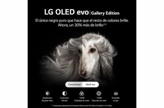 TV LG OLED evo Gallery Edition 65 4K
