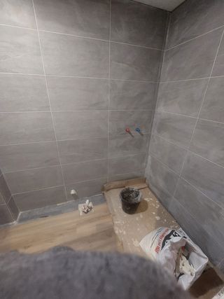 Reformas economicas.