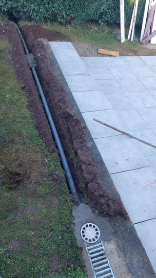 Reformas economicas.