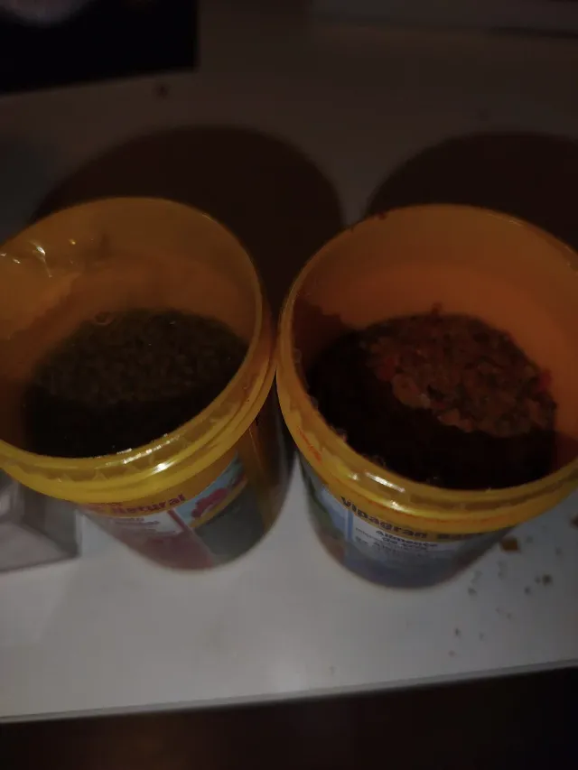 Comida para gambas y peces