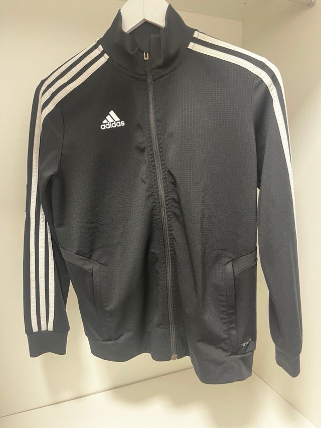 Lote de sudaderas, camisetas y playeras de marca.