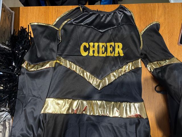 12 disfraces Cheerleader Animadora para grupo