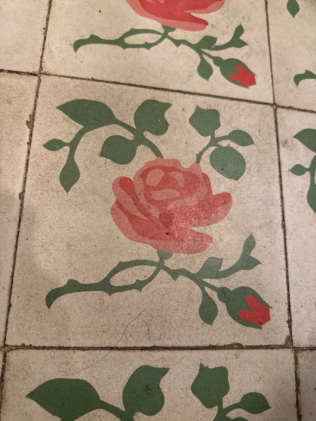 Lote suelo hidráulico antiguo