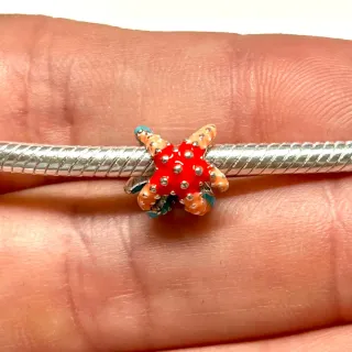 Charm Estrella de Mar Plata