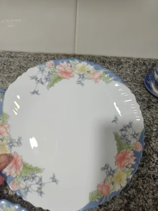 6 Platos Llanos Arcopal Florine