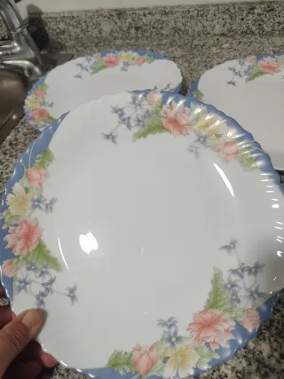 6 Platos Llanos Arcopal Florine