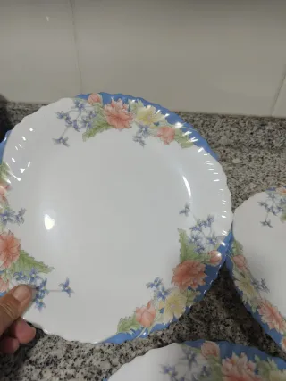 6 Platos Llanos Arcopal Florine