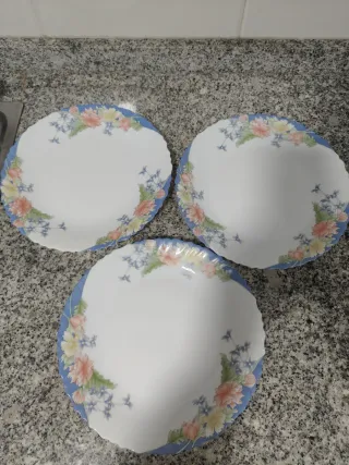 6 Platos Llanos Arcopal Florine