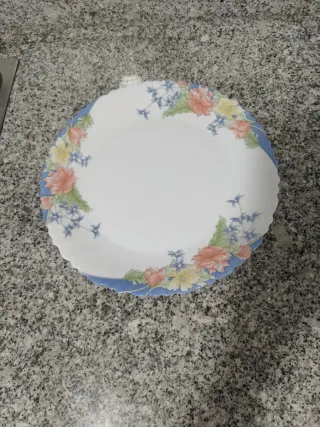 6 Platos Llanos Arcopal Florine