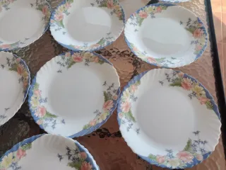 6 Platos Llanos Arcopal Florine