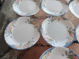 6 Platos Llanos Arcopal Florine