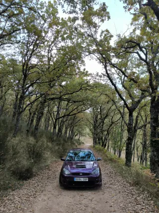Parachoques Ford Focus RS mk1