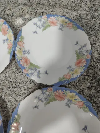 6 Platos Postre Arcopal Florine , 5€ Unidad